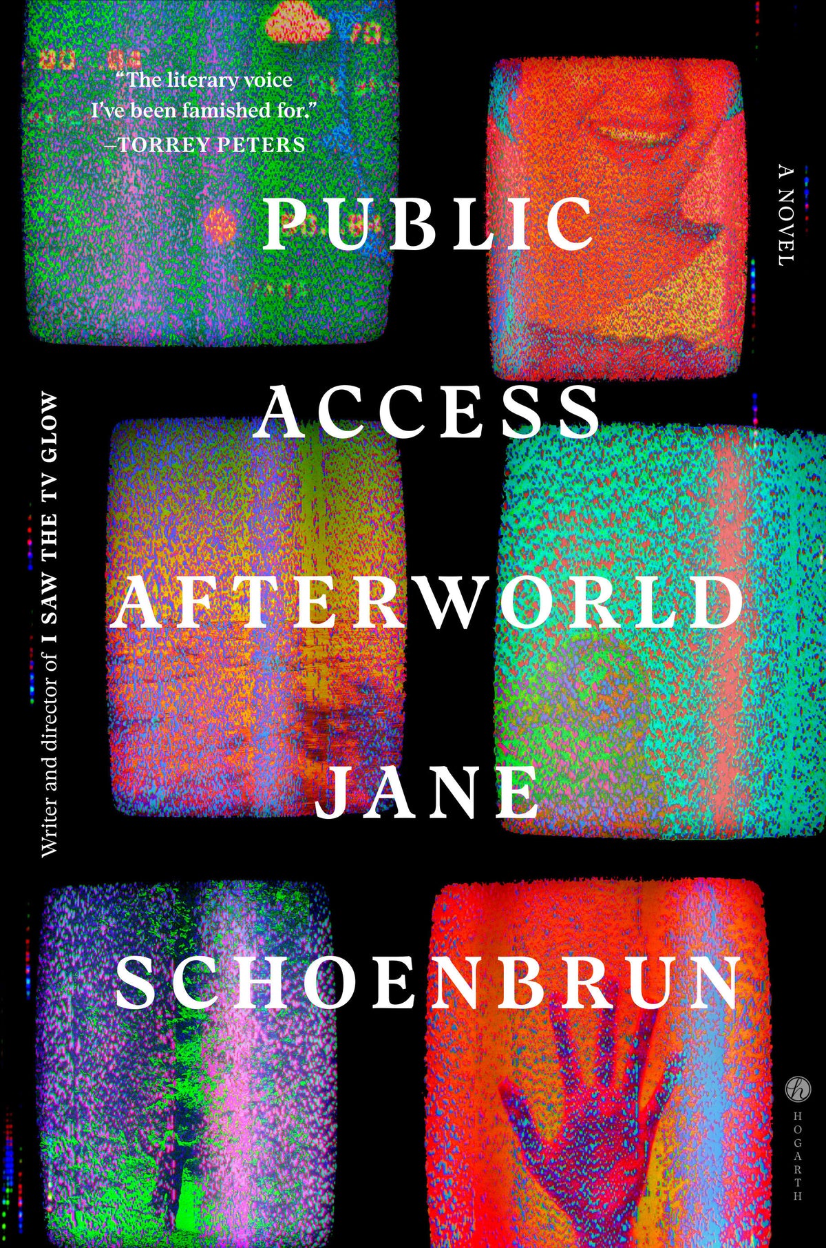 Public Access Afterworld: A Novel