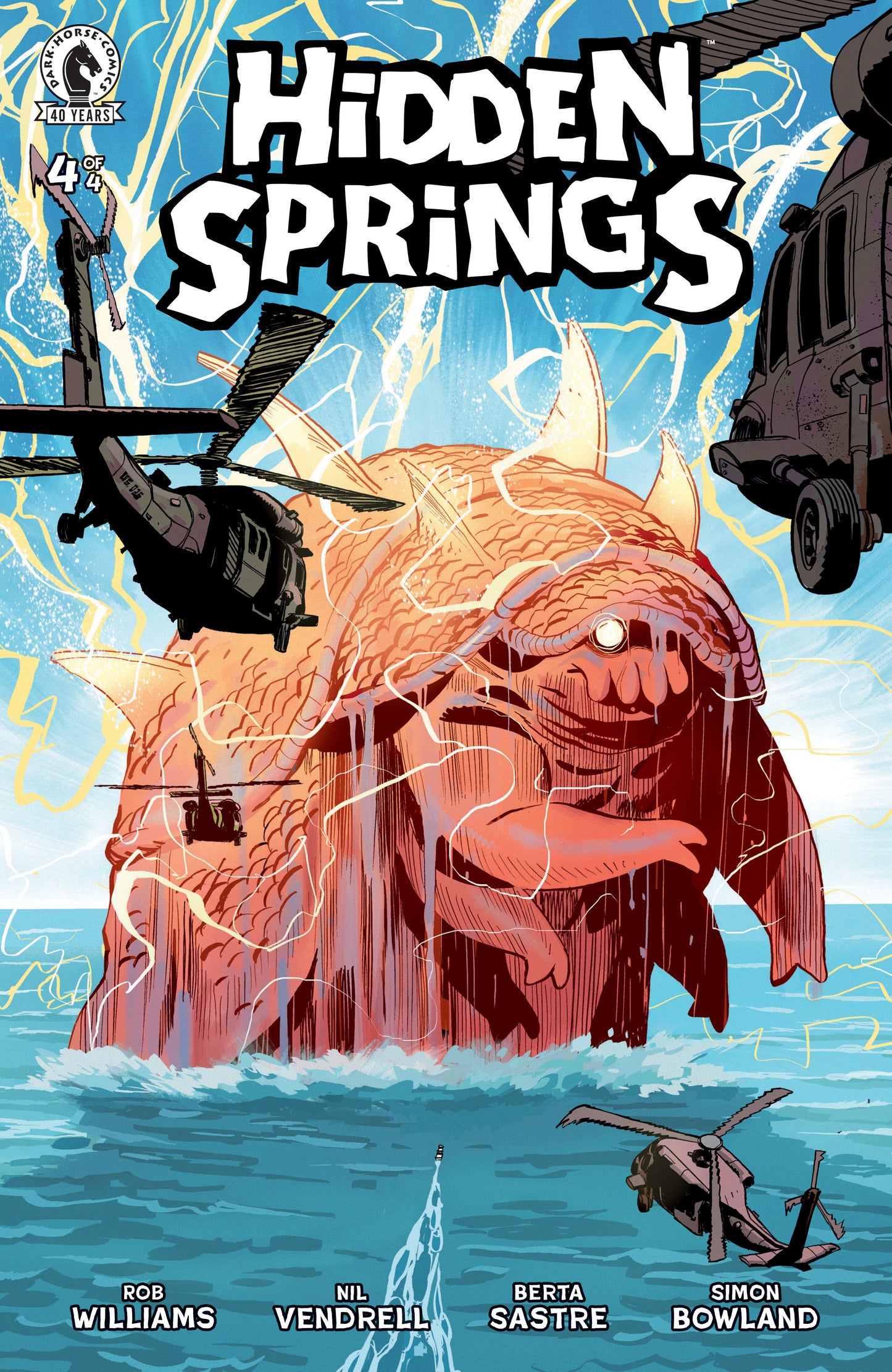 Hidden Springs #4
