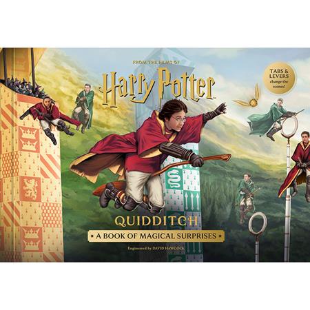 Harry Potter: Quidditch HC